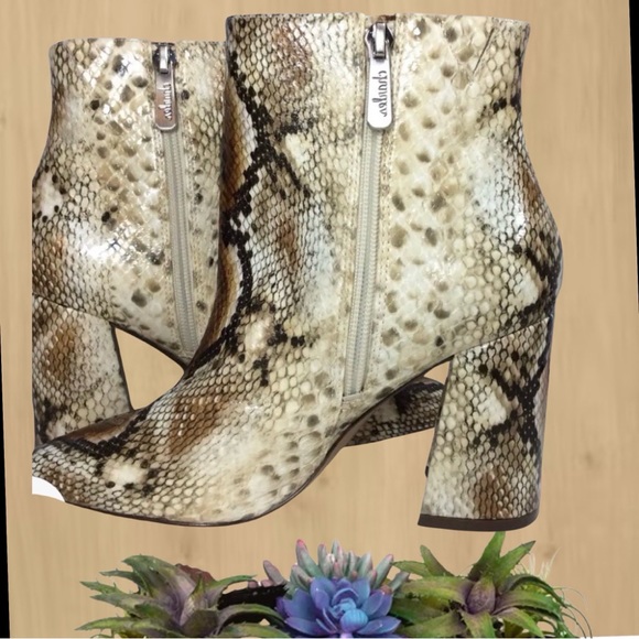 SIZE 9.5 Charles by Charles David Cream & Brown Snakeskin Bootie - Picture 4 of 5
